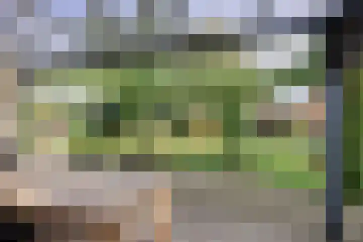 Moerkamp 42 Beugen thumbnail 28
