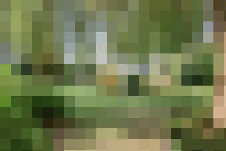 Moerkamp 42 Beugen thumbnail 34