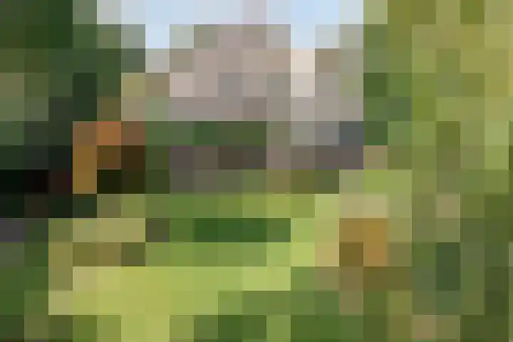 Moerkamp 42 Beugen thumbnail 38