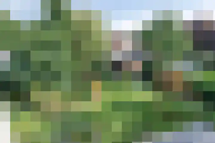 Moerkamp 42 Beugen thumbnail 39