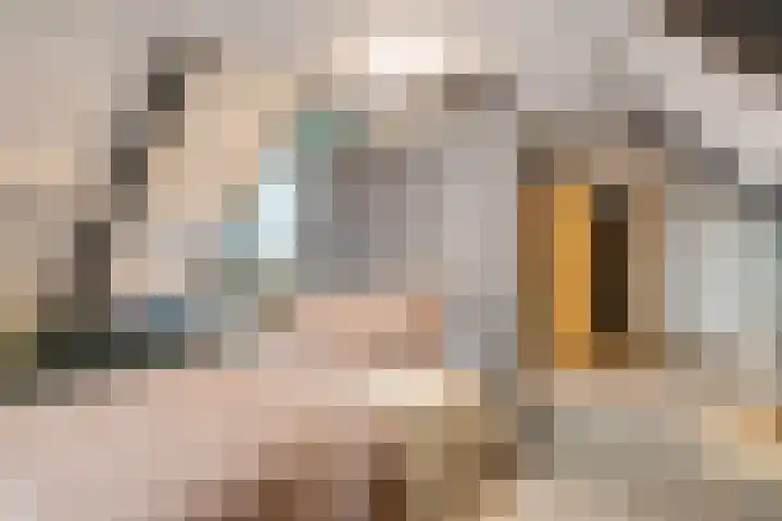 Moerkensbeemden 17 Helmond thumbnail 20