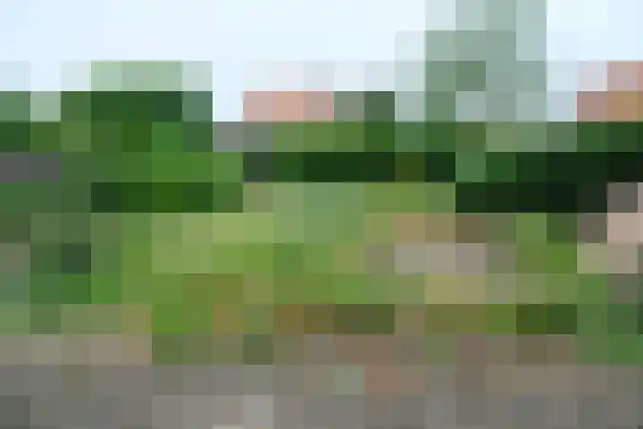 Moerkensgaard 13 Tricht thumbnail 13