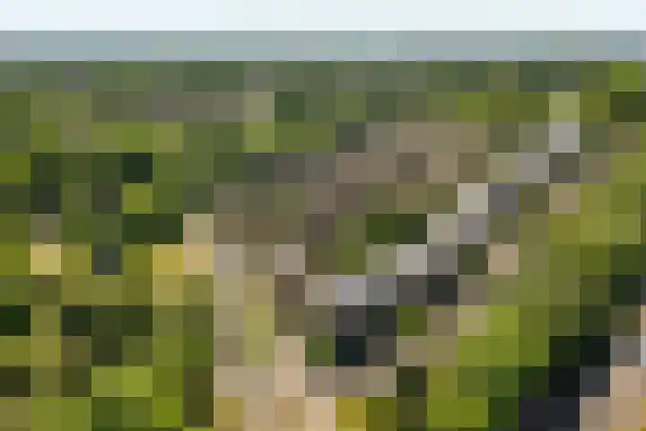 Office photo of Moerland makelaardij