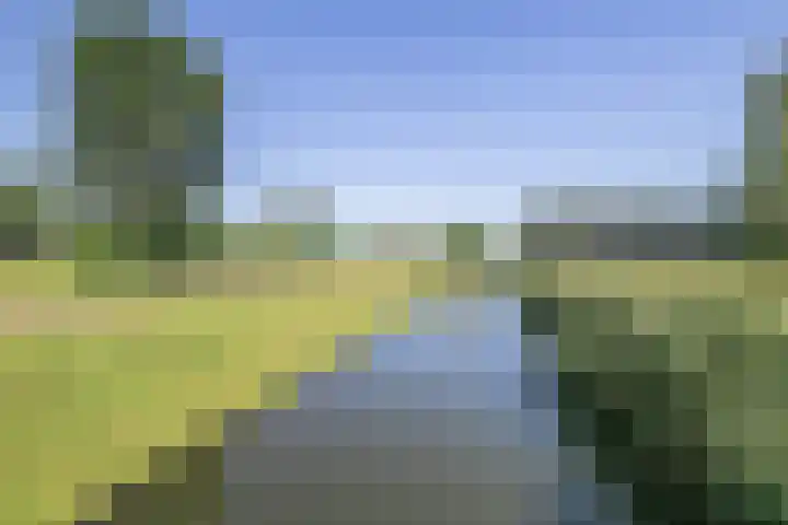 Logo van Moerman Makelaars