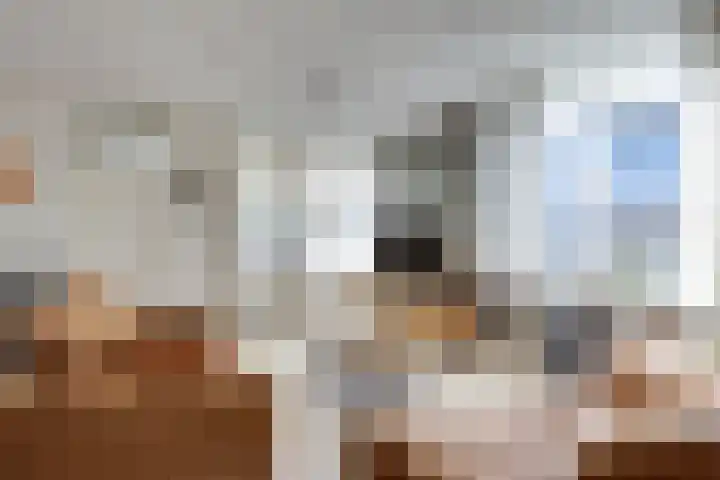Moersbergen 1 Eindhoven thumbnail 10