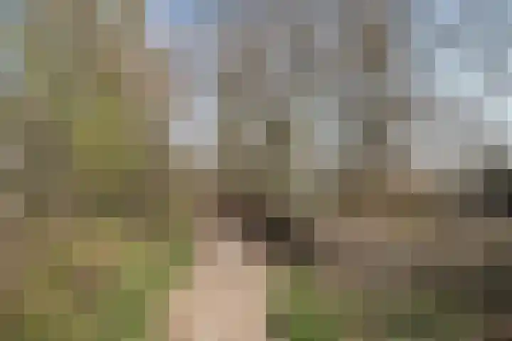 Moerven 12 Veghel thumbnail 32