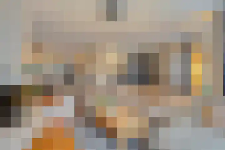 Moerven 207 Veghel thumbnail 10