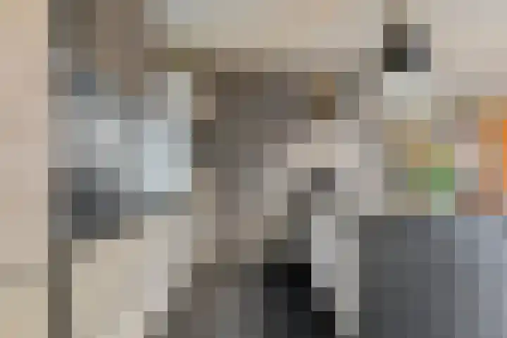 Moerven 207 Veghel thumbnail 14