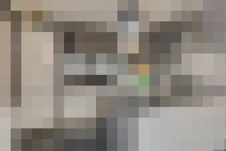 Moerven 207 Veghel thumbnail 15