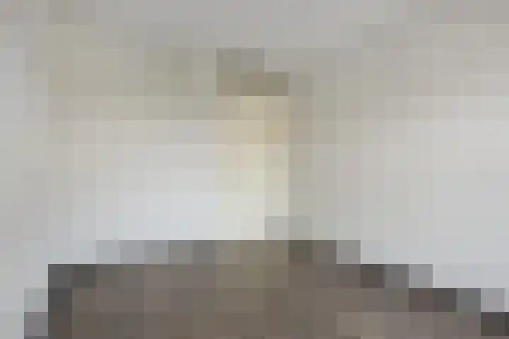 Moerven 361 Veghel thumbnail 22