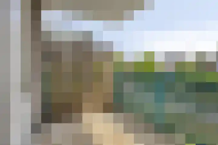 Moerven 361 Veghel thumbnail 24