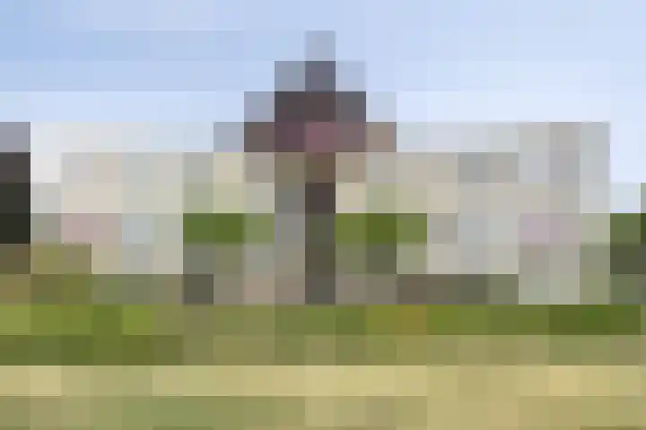 Moerven 361 Veghel thumbnail 30