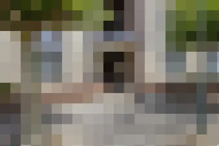 Moerven 361 Veghel thumbnail 9