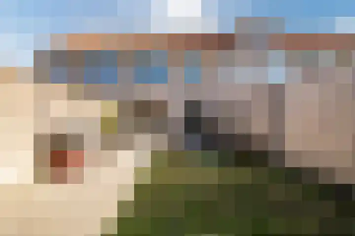 Moerverweg 23 Sint Pancras thumbnail 33