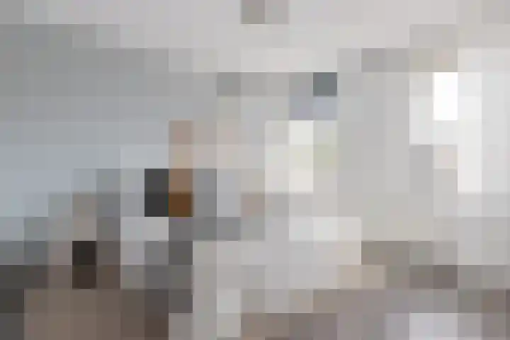 Moerweide 7 Reeuwijk thumbnail 30