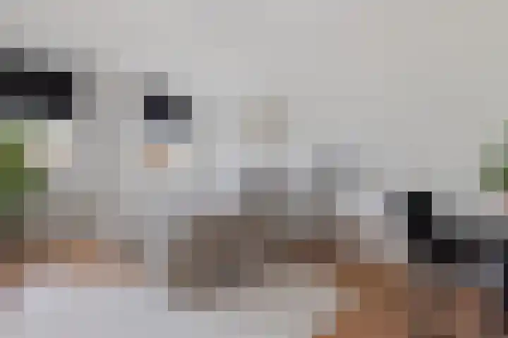 Moerweide 7 Reeuwijk thumbnail 4