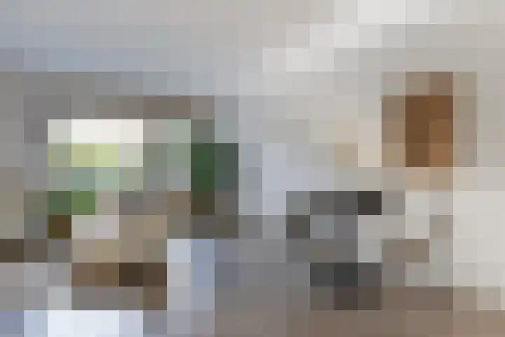 Moerweide 7 Reeuwijk thumbnail 8