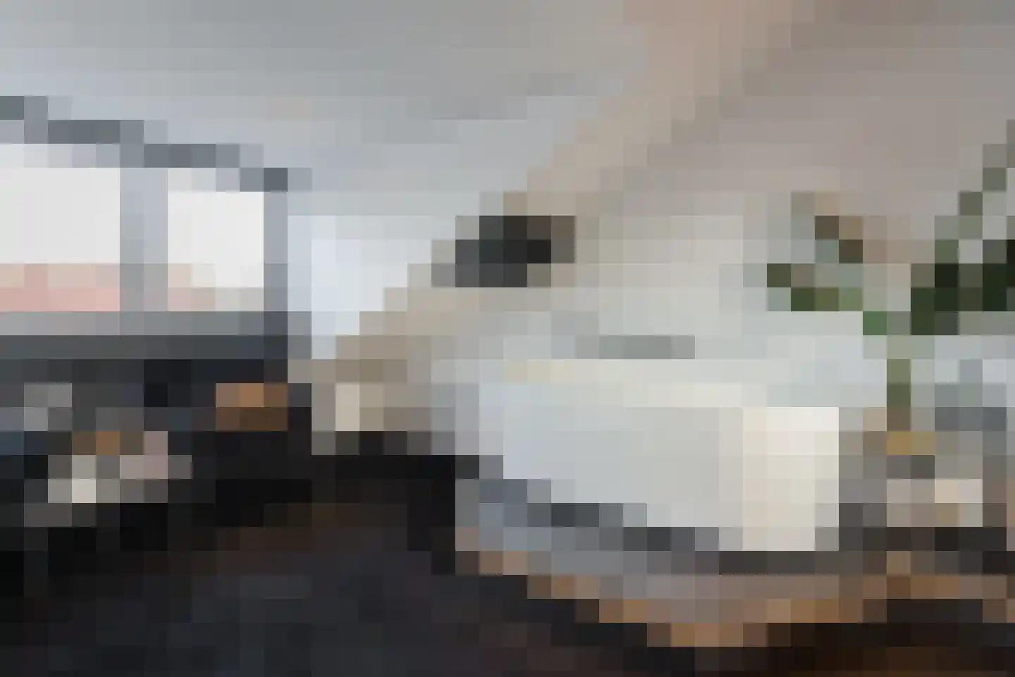 Moesdistelstraat 19 Almere thumbnail 30