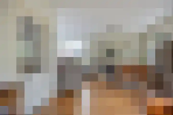 Moeshof 9 Neede thumbnail 12