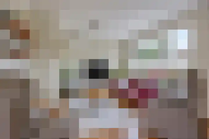 Moeshof 9 Neede thumbnail 13