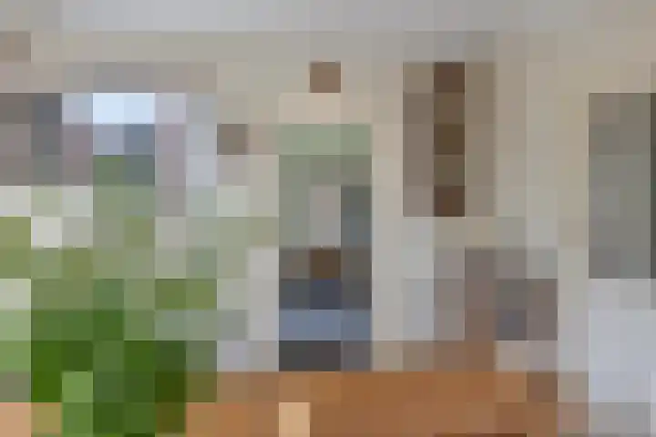 Moeshof 9 Neede thumbnail 18