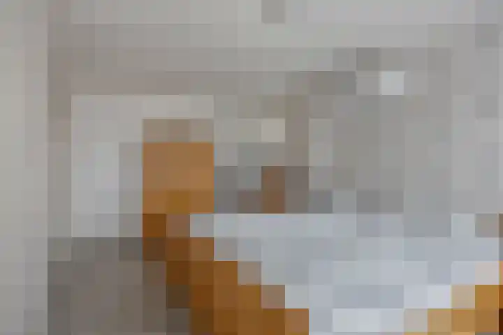 Moeshof 9 Neede thumbnail 24