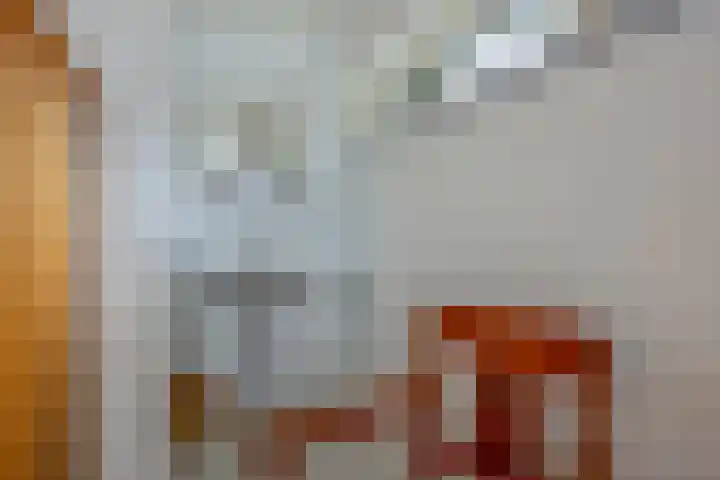 Moeshof 9 Neede thumbnail 25