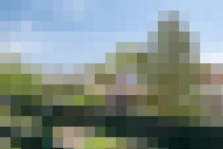 Moeshof 9 Neede thumbnail 29