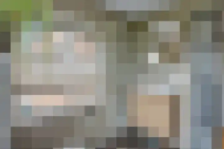 Moeshof 9 Neede thumbnail 31
