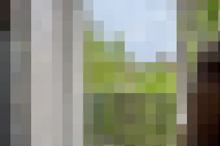 Moeshof 9 Neede thumbnail 33