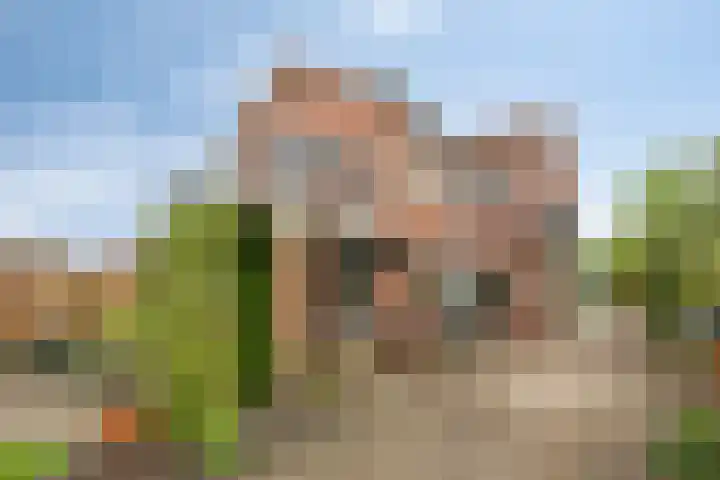 Moeshof 9 Neede thumbnail 34