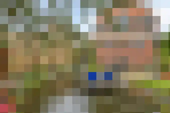 Moeshof 9 Neede thumbnail 39