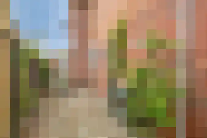 Moeshof 9 Neede thumbnail 40