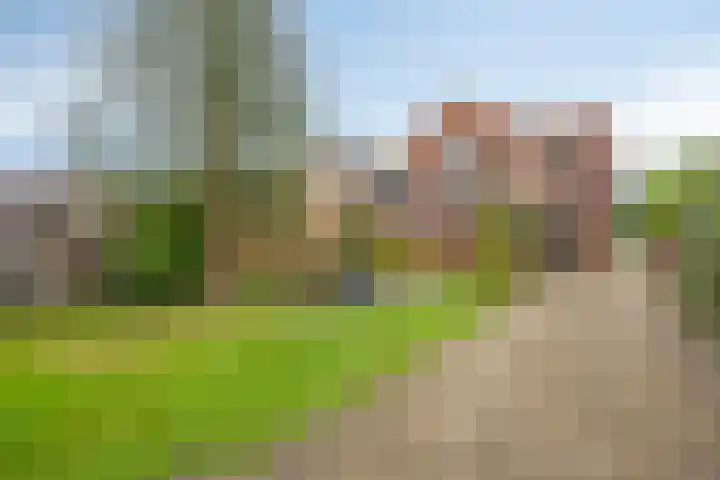 Moeshof 9 Neede thumbnail 41