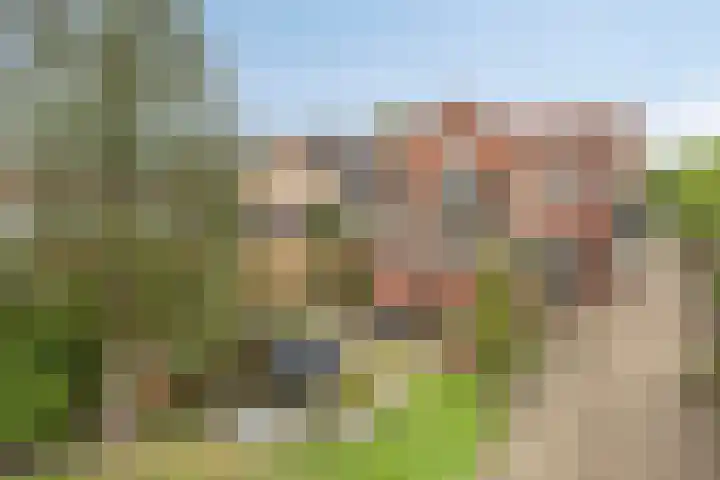 Moeshof 9 Neede thumbnail 42