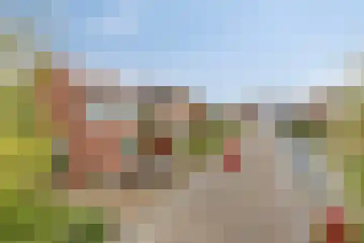 Moeshof 9 Neede thumbnail 43