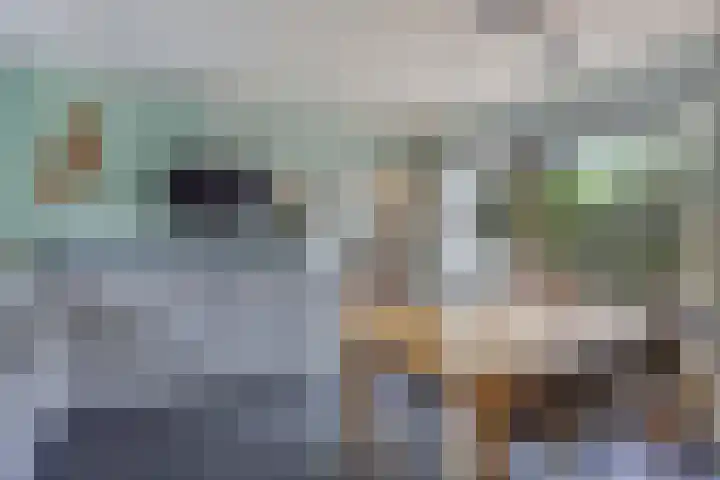 Moeshof 9 Neede thumbnail 6