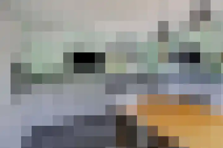 Moeshof 9 Neede thumbnail 7