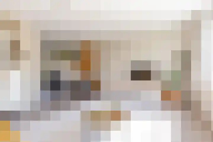 Moesson 11 Zeewolde thumbnail 12