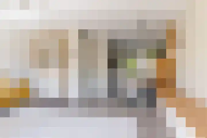 Moesson 11 Zeewolde thumbnail 13