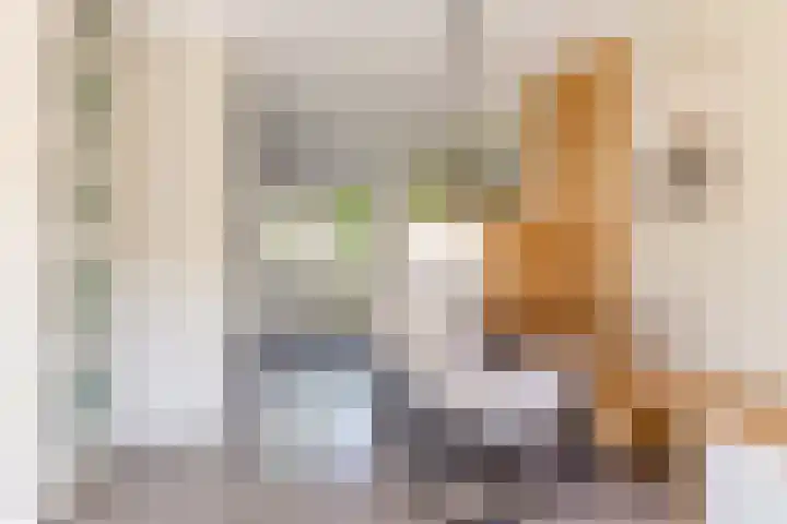 Moesson 11 Zeewolde thumbnail 14