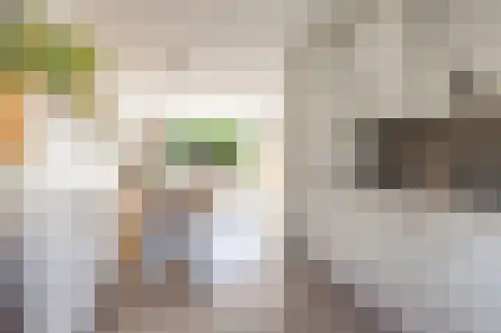 Moesson 11 Zeewolde thumbnail 16