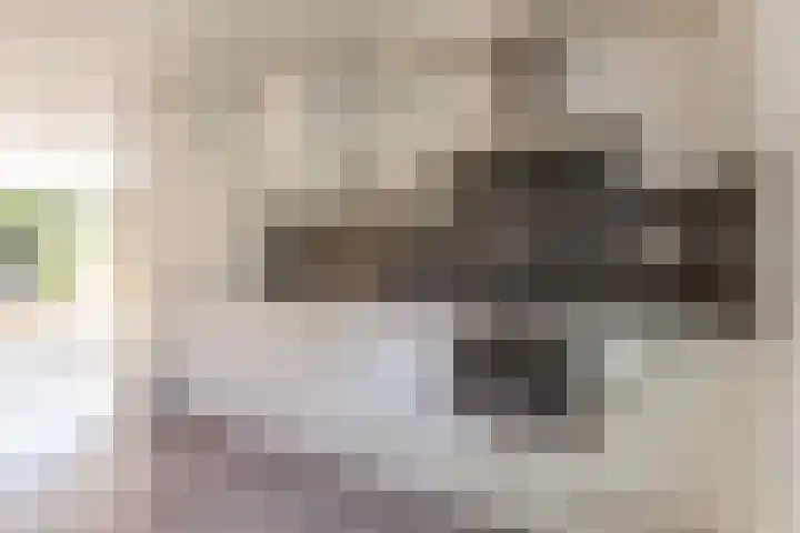 Moesson 11 Zeewolde thumbnail 17