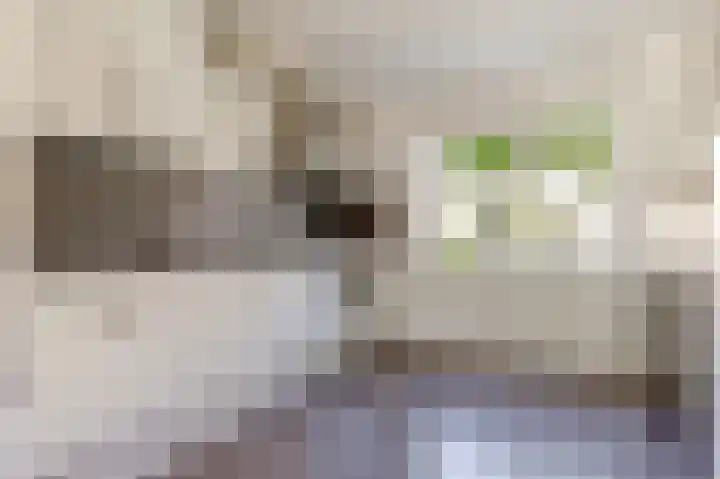 Moesson 11 Zeewolde thumbnail 18