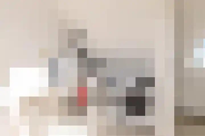 Moesson 11 Zeewolde thumbnail 33