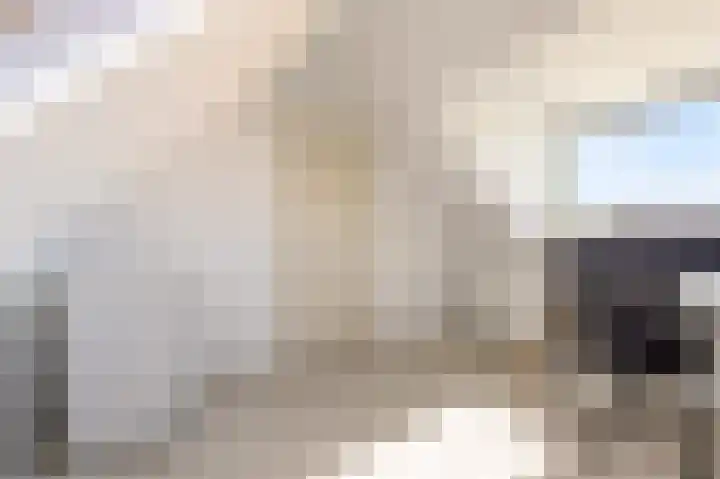Moesson 11 Zeewolde thumbnail 35