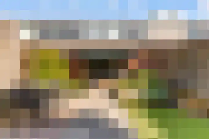 Moesson 11 Zeewolde thumbnail 37