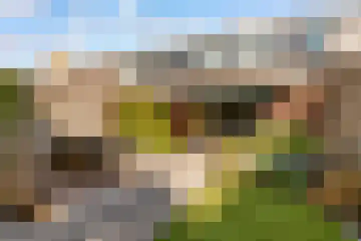 Moesson 11 Zeewolde thumbnail 38