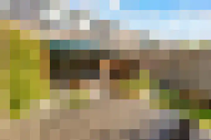 Moesson 11 Zeewolde thumbnail 39