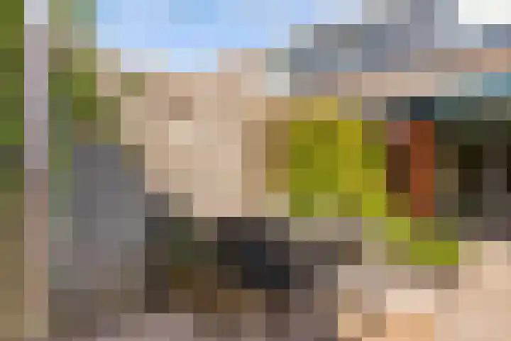 Moesson 11 Zeewolde thumbnail 40
